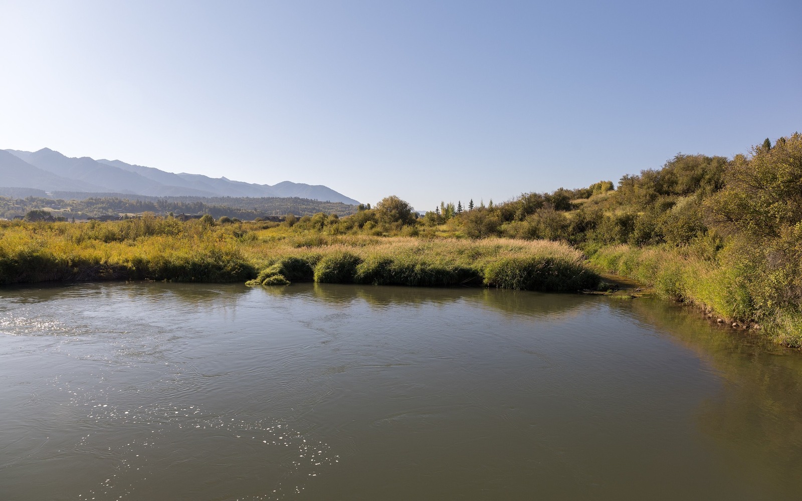 Sell Mineral Rights in Alpine Northeast, WY