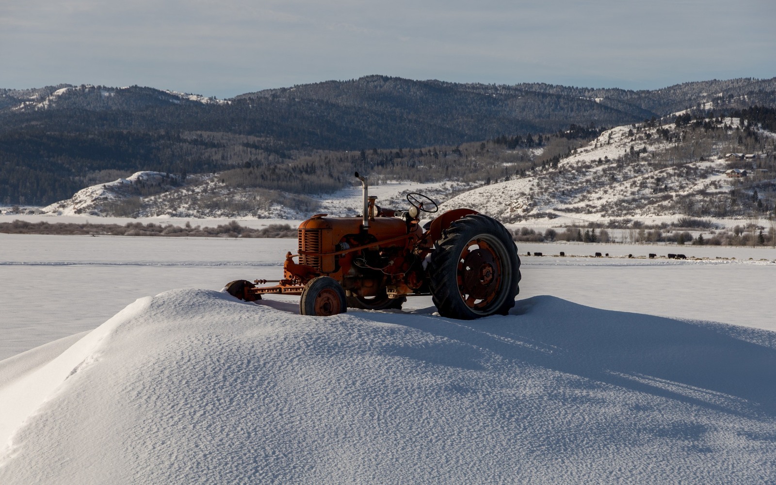 Sell Mineral Rights in Star Valley Ranch, WY