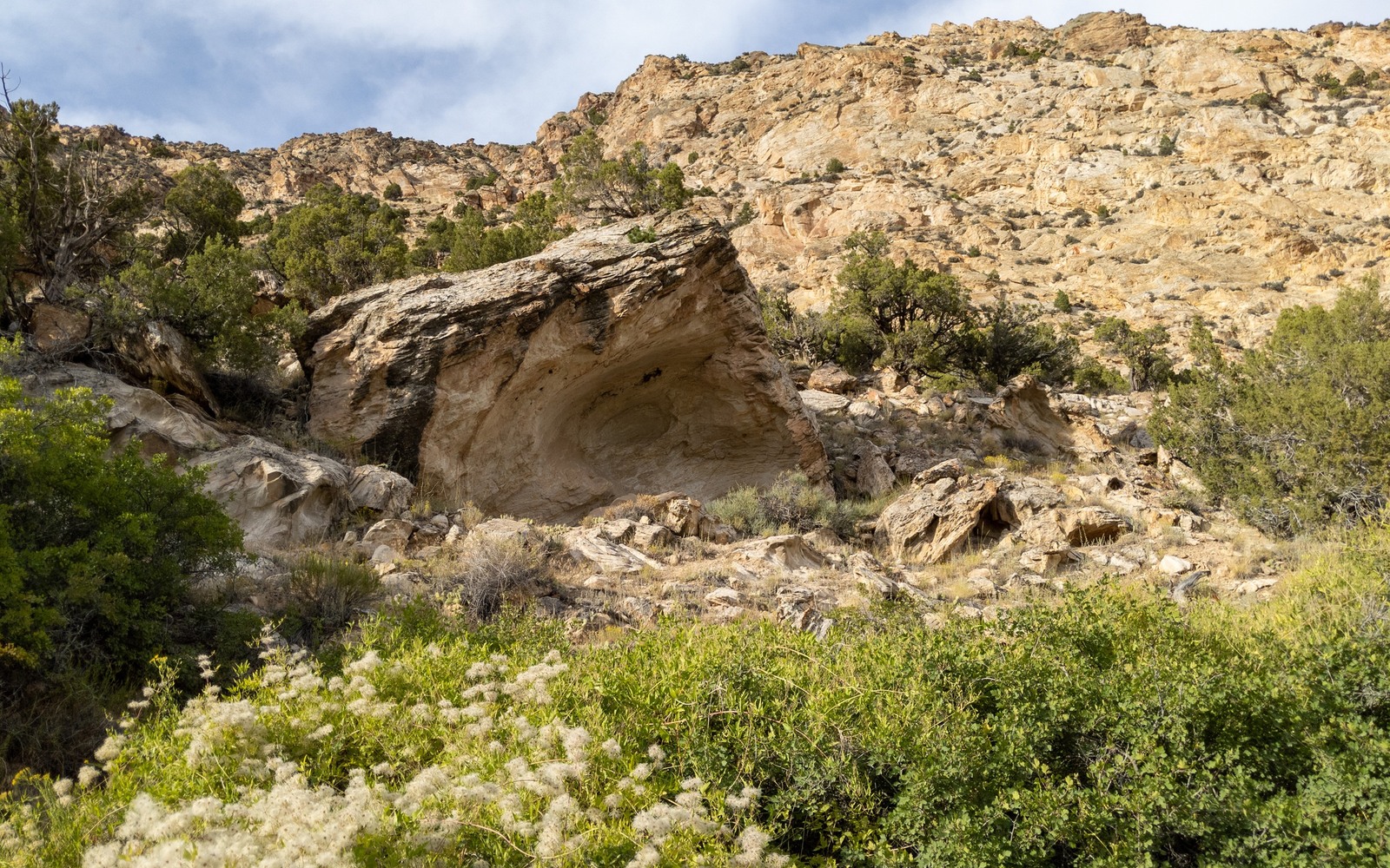Sell Mineral Rights in Washam, WY